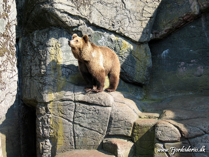 KBH zoo 190703 257.JPG